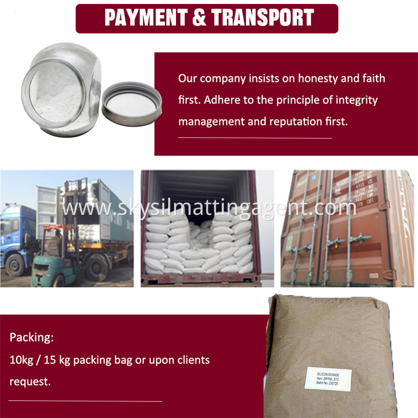 Payment Transport